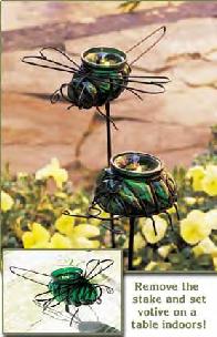 Glass Garden Votives