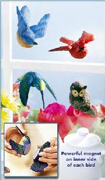 Set of 4 fly-thru window birds